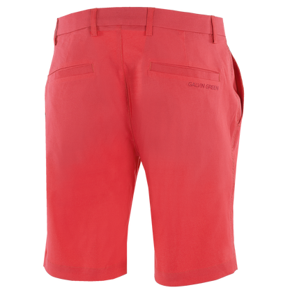 Paul - Red